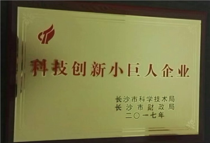 leyu·乐鱼（中国）智能荣获“科技创新小巨人企业”称号